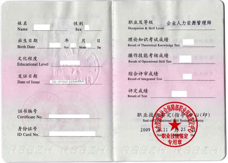 职业资格证书：职场绿灯还是敲门砖